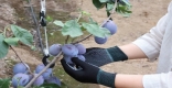 [���ֵ�]�Ѹ� �ڵ� �����顯 ù ����